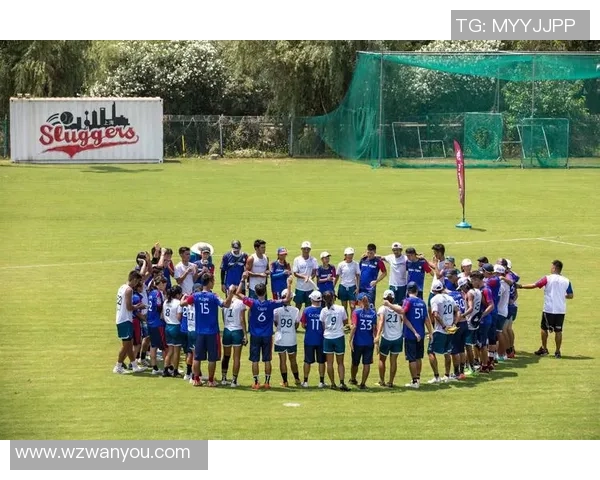 深圳飞盘队实力解析：探索这支新兴团队的成长与挑战